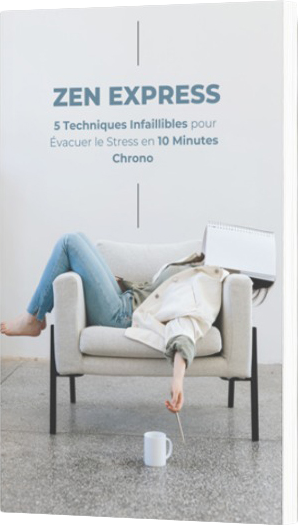 zen express ebook gratuit