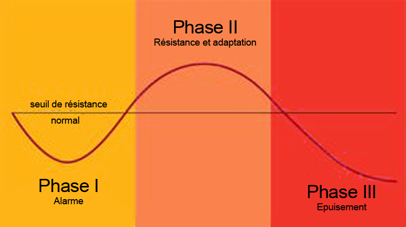 schéma explicatif 3 phases du stress