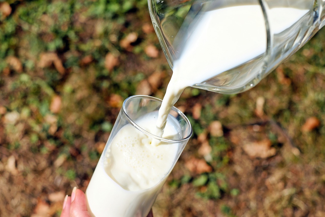 Apaiser le stress : Les bienfaits calmants du lait d’avoine