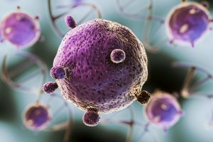 cancer et genetique